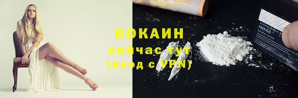 apvp Алексин
